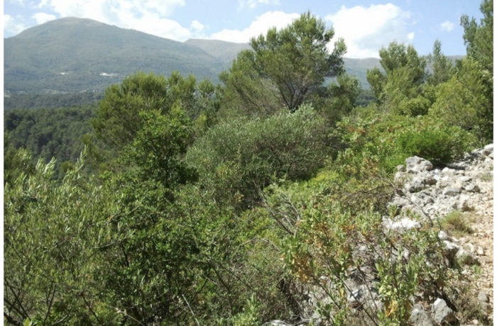 Una Natura Incontaminata La Colle